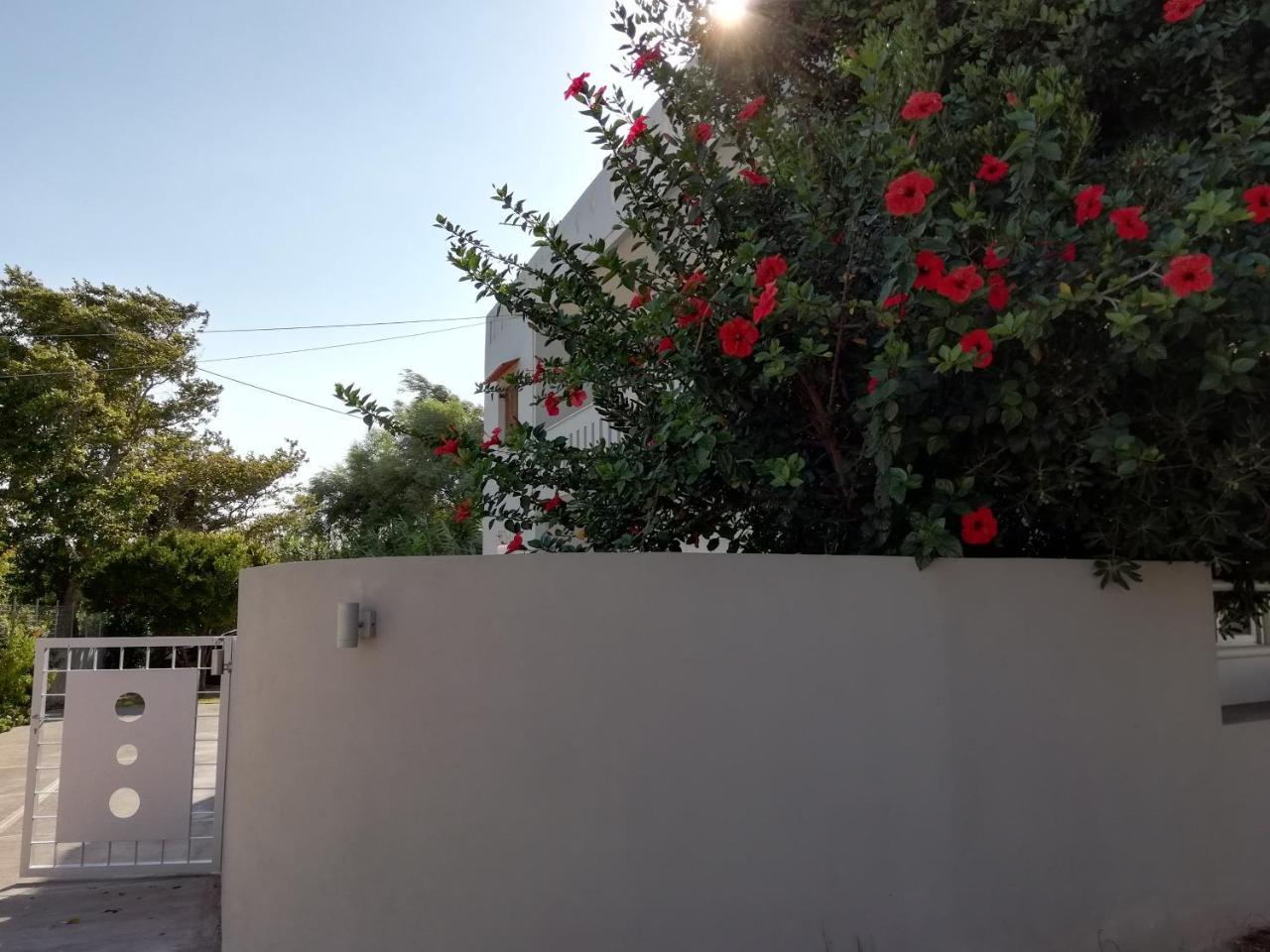 Dimitris' & Valentina'S Home Plakias Exterior photo