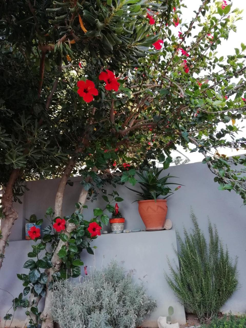 Dimitris' & Valentina'S Home Plakias Exterior photo